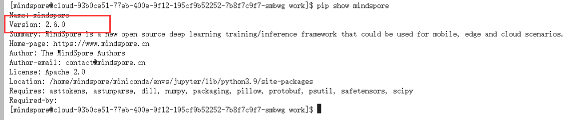 image-20250728161712066